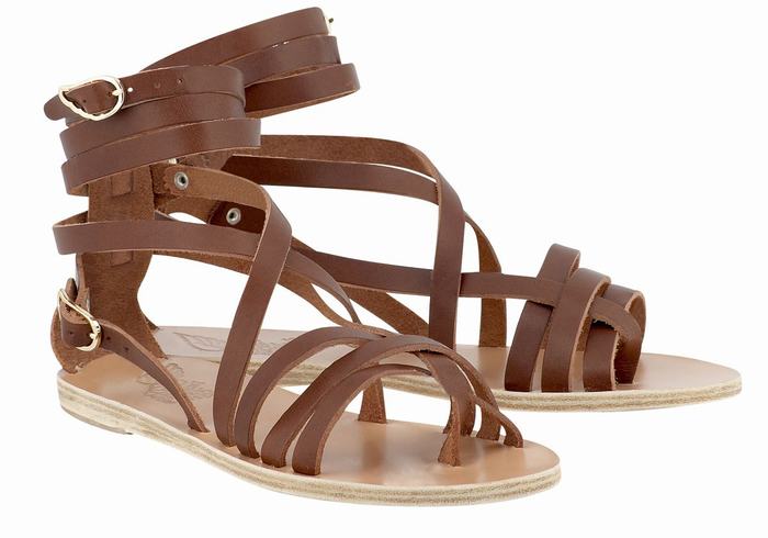 Dark Brown Women Ancient Greek Sandals Satira Leather Gladiator Sandals | NCC4952VJ