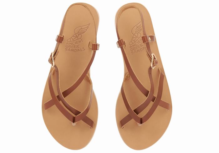 Dark Brown Women Ancient Greek Sandals Semele Leather Back-Strap Sandals | XKB4271BH