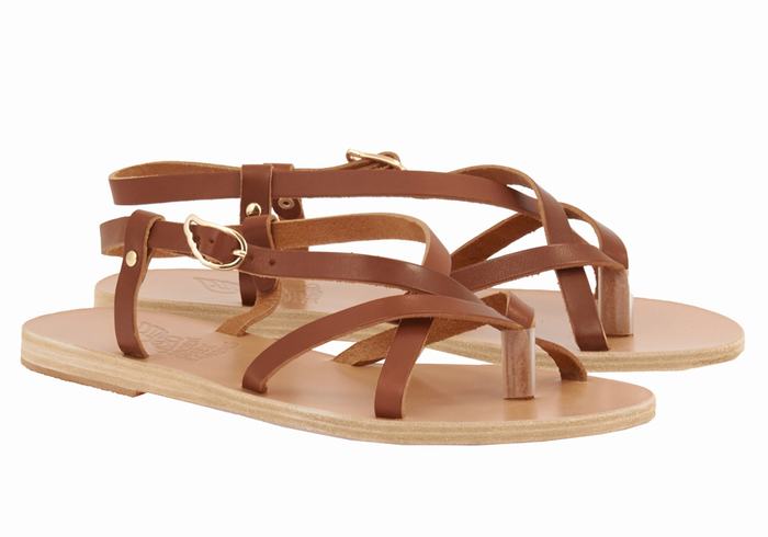 Dark Brown Women Ancient Greek Sandals Semele Leather Back-Strap Sandals | XKB4271BH