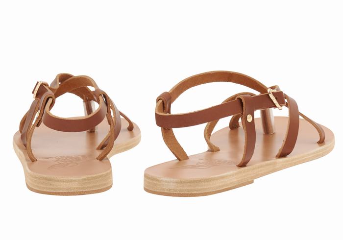 Dark Brown Women Ancient Greek Sandals Semele Leather Back-Strap Sandals | XKB4271BH