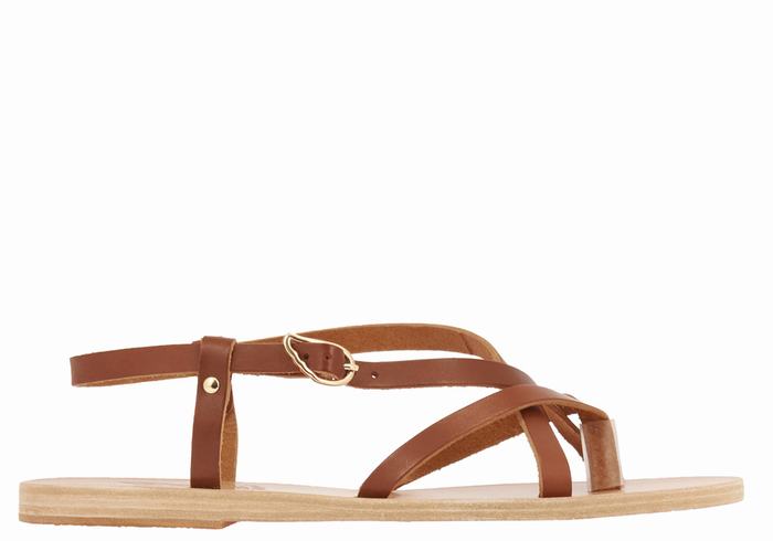 Dark Brown Women Ancient Greek Sandals Semele Leather Back-Strap Sandals | XKB4271BH