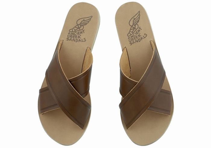 Dark Brown Women Ancient Greek Sandals Thais Slide Sandals | KXS9449RL