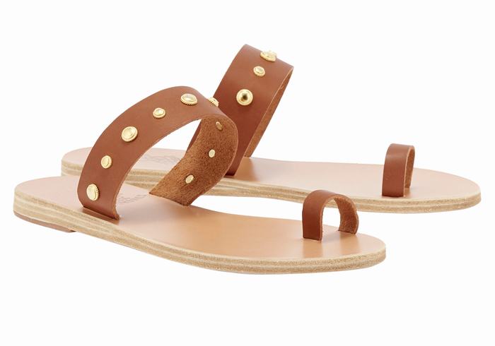 Dark Brown Women Ancient Greek Sandals Thalia Bee Toe-Post Sandals | VOA5932EN