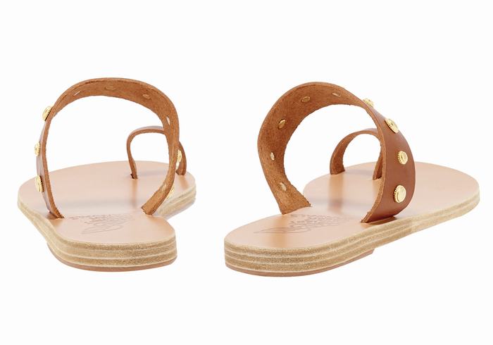 Dark Brown Women Ancient Greek Sandals Thalia Bee Toe-Post Sandals | VOA5932EN