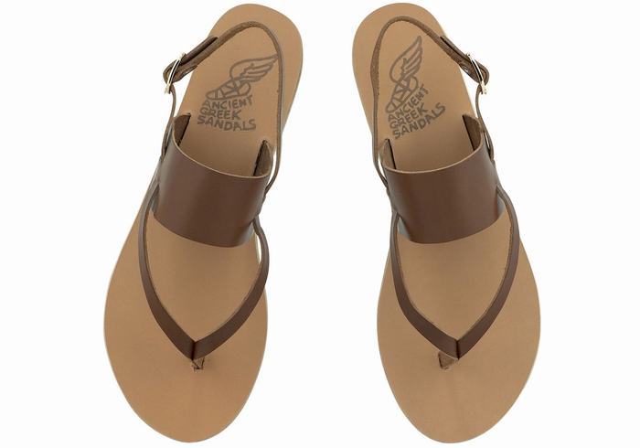 Dark Brown Women Ancient Greek Sandals Zoe Flip Flop Leather Back-Strap Sandals | DIK7290MD