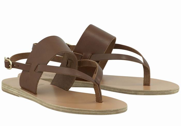 Dark Brown Women Ancient Greek Sandals Zoe Flip Flop Leather Back-Strap Sandals | DIK7290MD