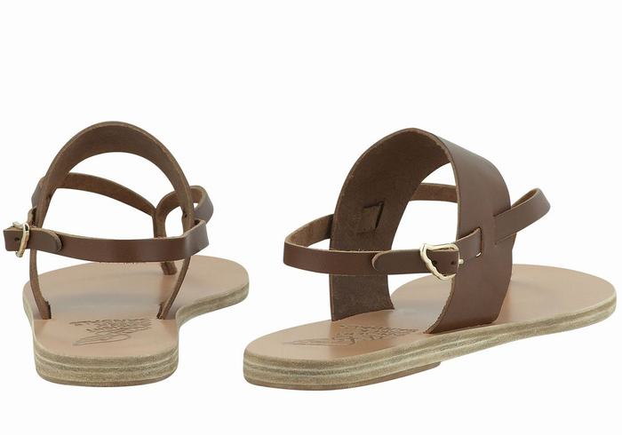 Dark Brown Women Ancient Greek Sandals Zoe Flip Flop Leather Back-Strap Sandals | DIK7290MD