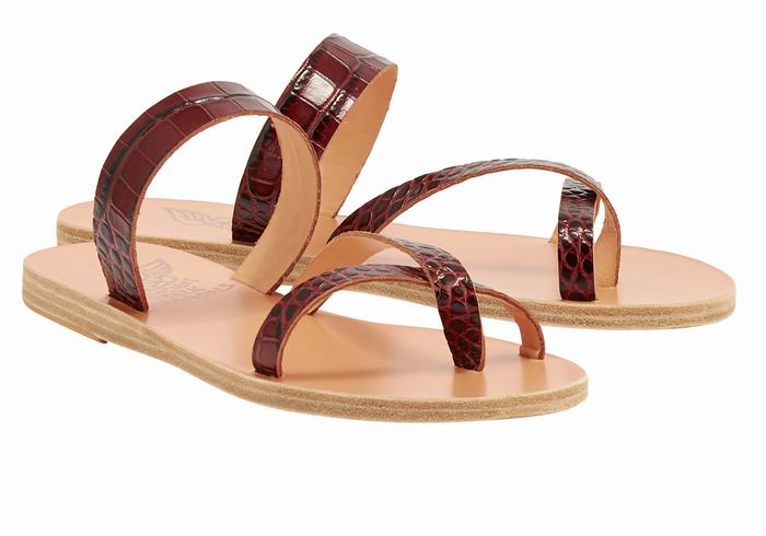 Dark Red Black Women Ancient Greek Sandals Daphnae Slide Sandals | NJF228RR