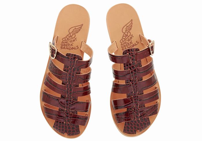 Dark Red Black Women Ancient Greek Sandals Cosmia Fisherman Sandals | ZZP9720ZE