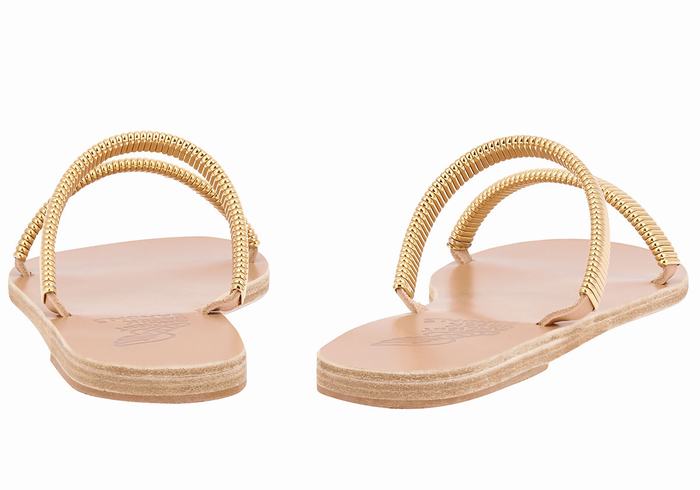 Gold Beige Women Ancient Greek Sandals Saita Slide Sandals | DAY2984GQ