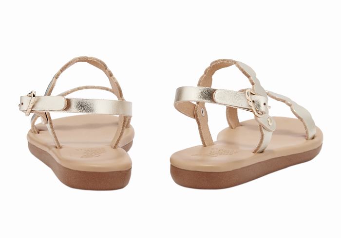 Gold White Kids' Ancient Greek Sandals Little Orion Soft Flat Sandals | WRI6575WF