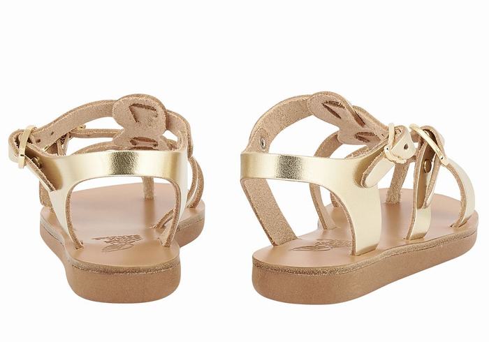 Gold White Kids' Ancient Greek Sandals Little Grace Kelly Soft Flat Sandals | RUQ6379ZW