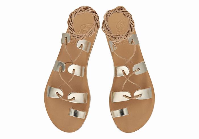 Gold White Women Ancient Greek Sandals Alcyone Leather Gladiator Sandals | YHT9440GL