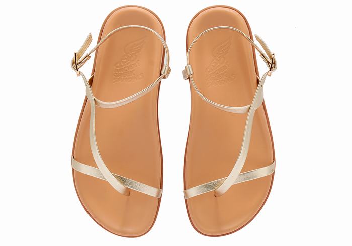 Gold White Women Ancient Greek Sandals Aimilia Back-Strap Sandals | QPR629NY