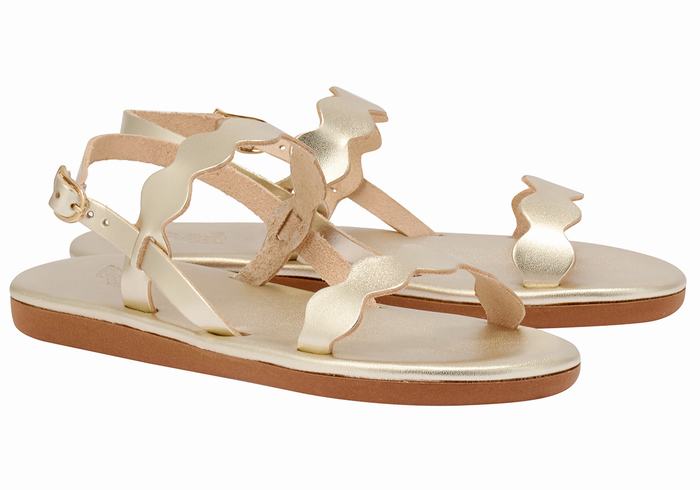 Gold White Women Ancient Greek Sandals Afros Back-Strap Sandals | HFR6917DT