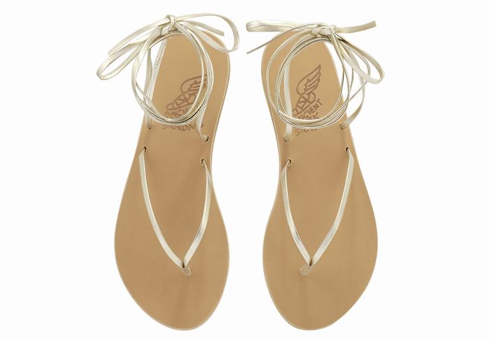 Gold White Women Ancient Greek Sandals Celia Gladiator Sandals | AJS9852RG