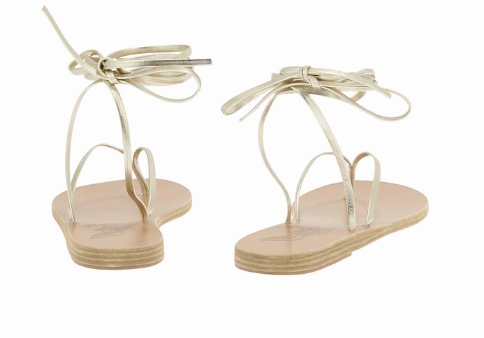 Gold White Women Ancient Greek Sandals Celia Gladiator Sandals | AJS9852RG