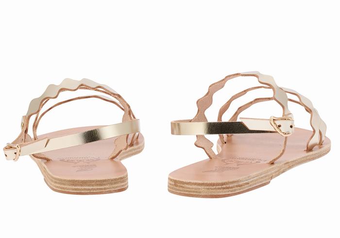 Gold White Women Ancient Greek Sandals Clio Onda Back-Strap Sandals | AWG2140WW