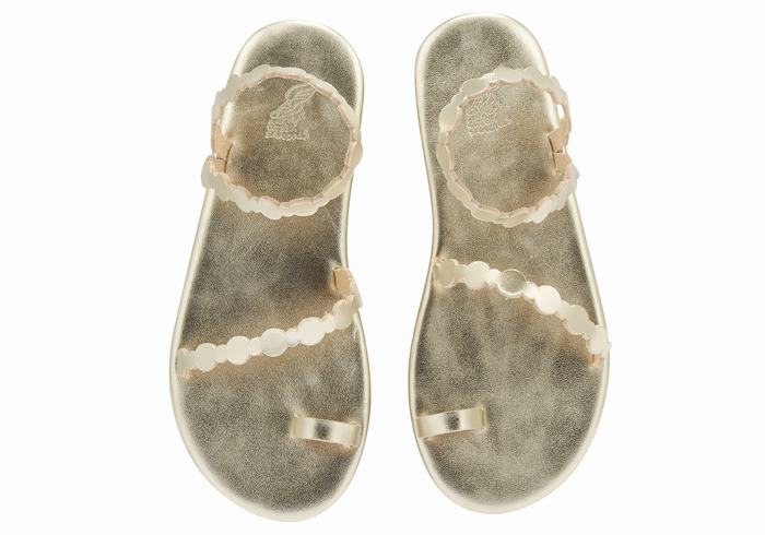 Gold White Women Ancient Greek Sandals Cronos Toe-Post Sandals | LAP5993VZ