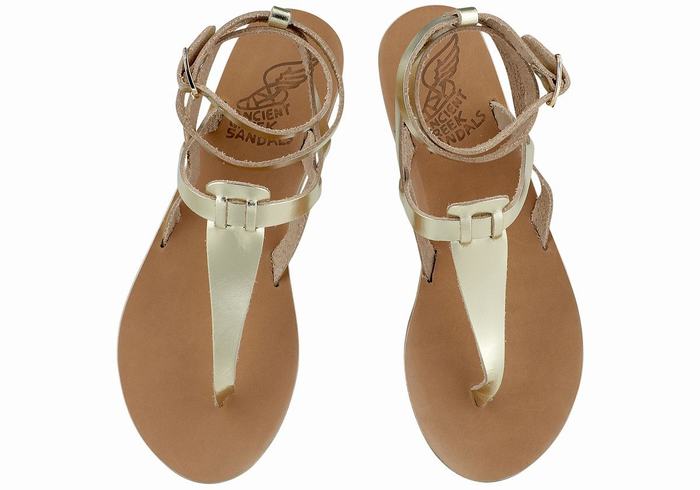 Gold White Women Ancient Greek Sandals Estia Leather Ankle Strap Sandals | BYG5366XJ