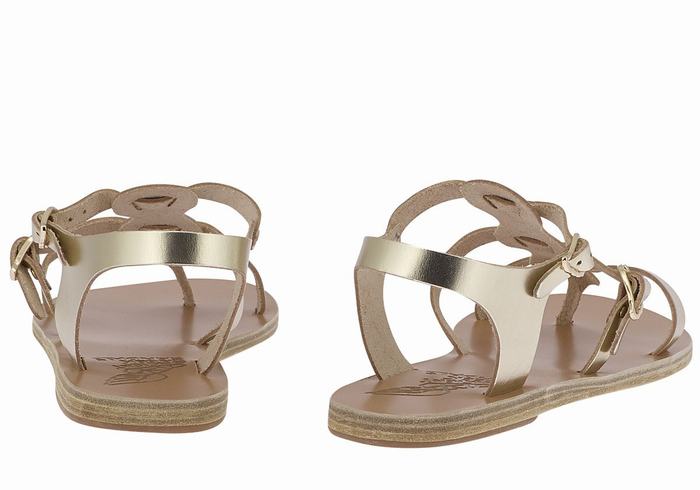 Gold White Women Ancient Greek Sandals Grace Kelly Leather Casual Sandals | BZW2366KM