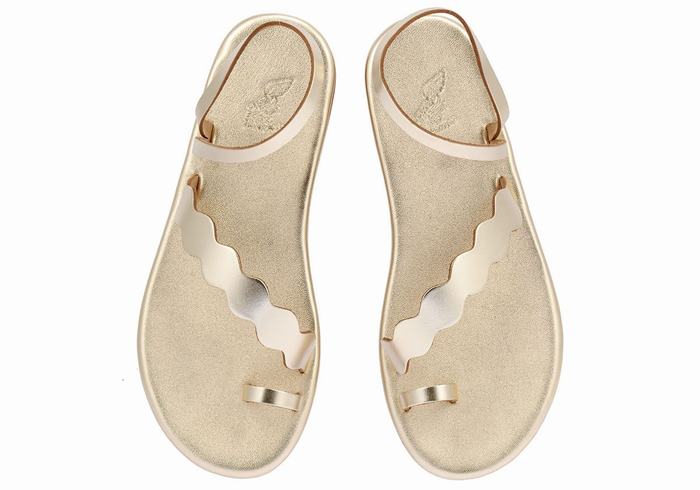 Gold White Women Ancient Greek Sandals Koralia Toe-Post Sandals | IND3353JO