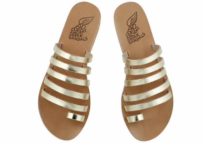 Gold White Women Ancient Greek Sandals Niki Leather Toe-Post Sandals | MIE1363RM