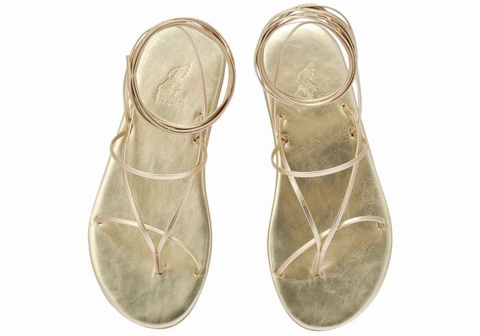 Gold White Women Ancient Greek Sandals String Gladiator Sandals | TGC5454BK