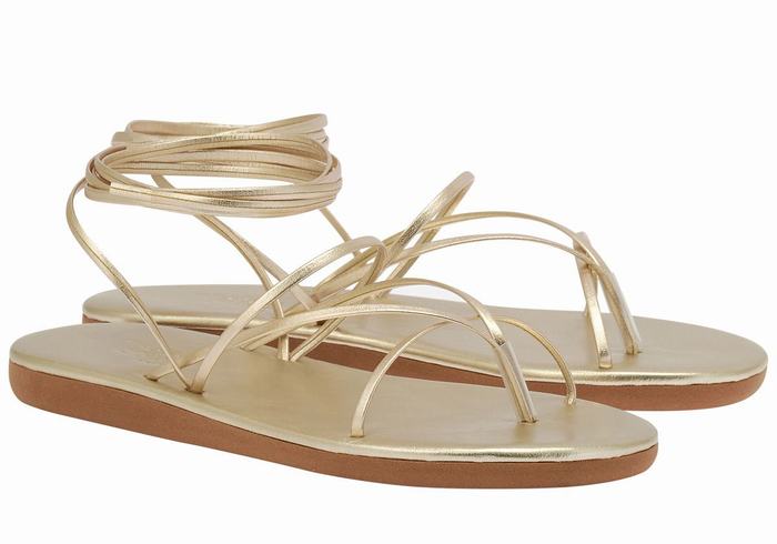 Gold White Women Ancient Greek Sandals String Gladiator Sandals | TGC5454BK