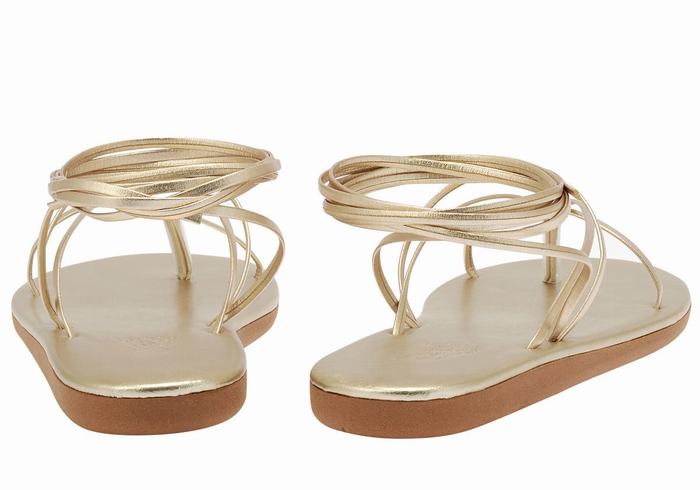 Gold White Women Ancient Greek Sandals String Gladiator Sandals | TGC5454BK