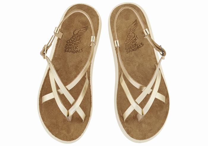 Gold White Women Ancient Greek Sandals Semele Comfort Back-Strap Sandals | FGF3045QC