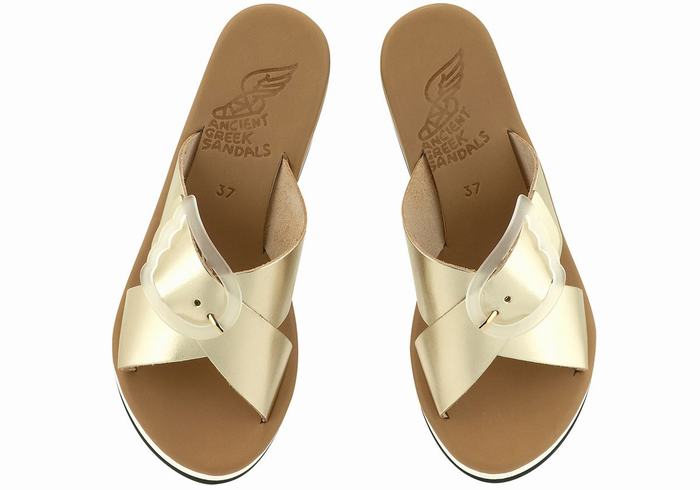 Gold White Women Ancient Greek Sandals Thais Rainbow Wedge Sandals | PGR979CA