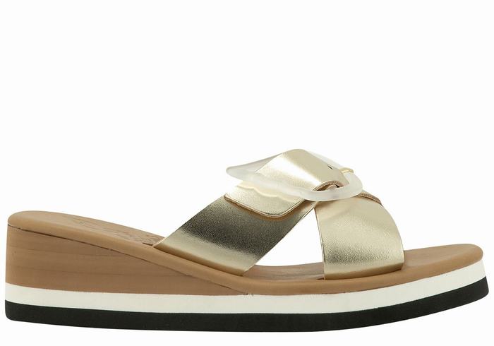 Gold White Women Ancient Greek Sandals Thais Rainbow Wedge Sandals | PGR979CA