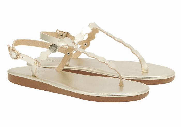 Gold White Women Ancient Greek Sandals Velos Flip Flop Back-Strap Sandals | CSG1520QA