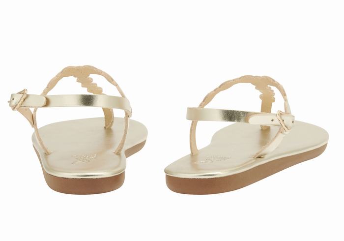 Gold White Women Ancient Greek Sandals Velos Flip Flop Back-Strap Sandals | CSG1520QA