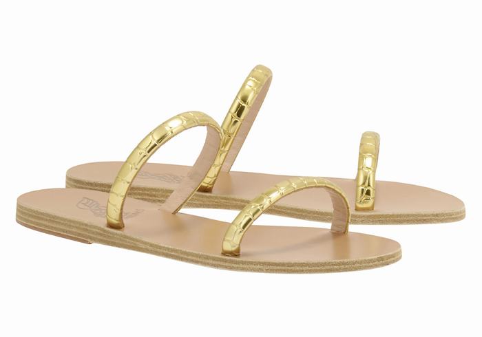 Gold Women Ancient Greek Sandals Echidna Slide Sandals | FMC5764KL