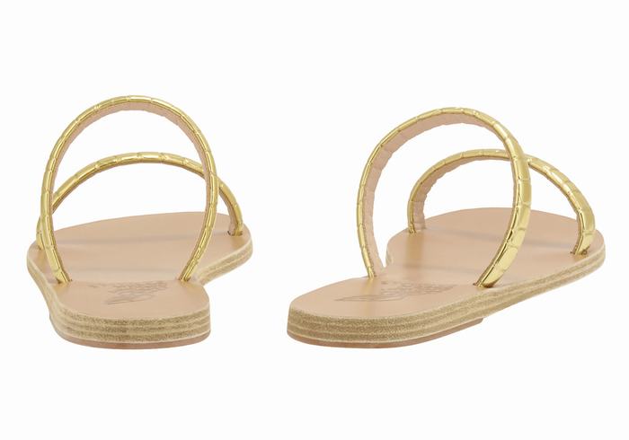 Gold Women Ancient Greek Sandals Echidna Slide Sandals | FMC5764KL