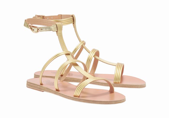 Gold Women Ancient Greek Sandals Frigia Ankle Strap Sandals | SUP2419LN