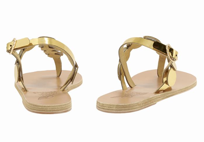 Gold Women Ancient Greek Sandals Ilios Flip Flop Leather Back-Strap Sandals | OLC6189DL