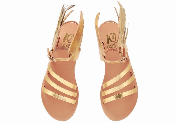 Gold Women Ancient Greek Sandals Victory Of Samothrace Ankle Strap Sandals | RJH732XK