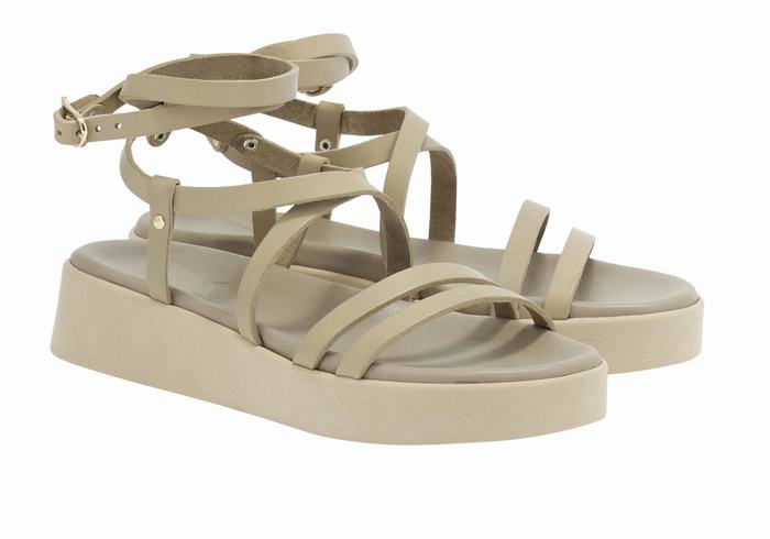 Grey Brown Women Ancient Greek Sandals Aristea Leather Platform Sandals | NWC6937SU