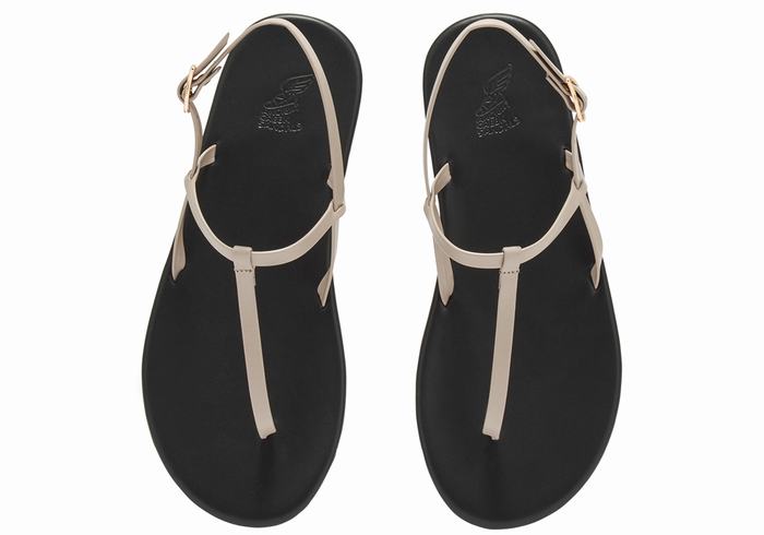 Grey Brown Women Ancient Greek Sandals Lito Flip Flop Back-Strap Sandals | PER5396NX