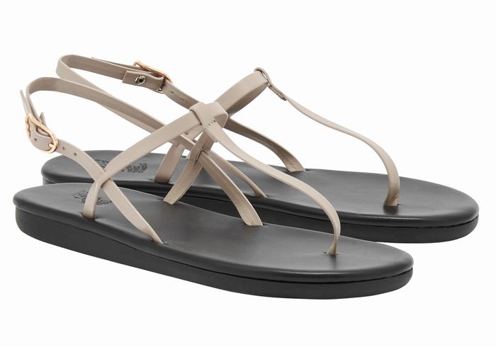 Grey Brown Women Ancient Greek Sandals Lito Flip Flop Back-Strap Sandals | PER5396NX