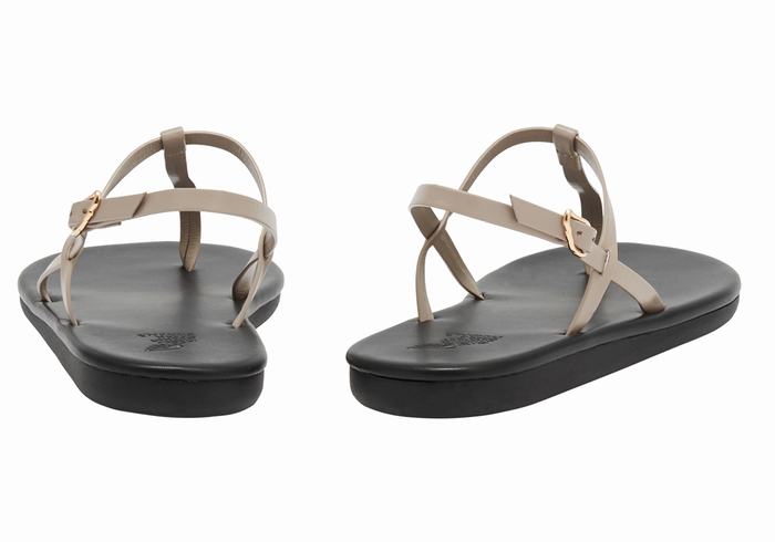 Grey Brown Women Ancient Greek Sandals Lito Flip Flop Back-Strap Sandals | PER5396NX