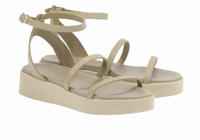 Grey Brown Women Ancient Greek Sandals Nissida Leather Platform Sandals | TOG6461ZB