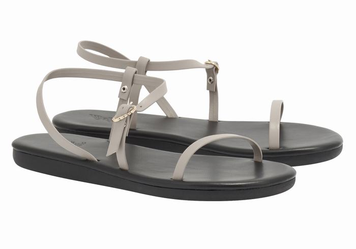 Grey Brown Women Ancient Greek Sandals Niove Back-Strap Sandals | XNR1068PE