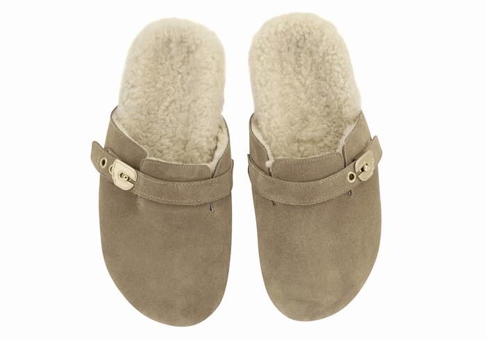 Grey Brown Women Ancient Greek Sandals Vasilitsa Slippers | CXU5926SC