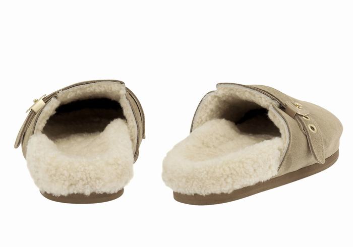 Grey Brown Women Ancient Greek Sandals Vasilitsa Slippers | CXU5926SC