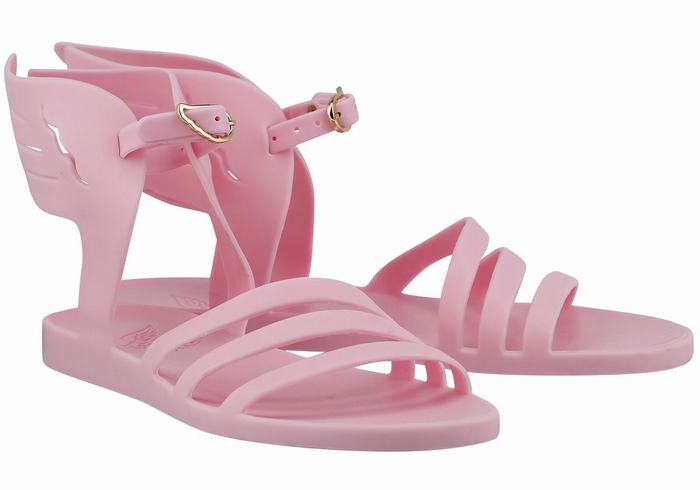 Pink Women Ancient Greek Sandals Ikaria Ankle Strap Sandals | FYD4086VV