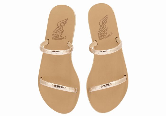 Rose Gold Women Ancient Greek Sandals Echidna Slide Sandals | ZXD8742XG